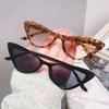 2pcs Cat Eye Sunglasses Versatile Fashion Sunglasses Street Po Personalized Sunglasses