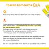 Teazen Kombucha Lemon, Berry, Citron, Peach, Pineapple 5 Set (4 Options)