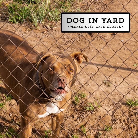Знак «Собака во дворе», знак «Домашнее животное, семья, двор», настенный декор, деревянный знак «Держите ворота закрытыми» для владельцев собак в саду и дворе, подарок на новоселье