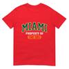 305 Miami Vibes Urban Style Miami Beach Graphic Design Tshirt