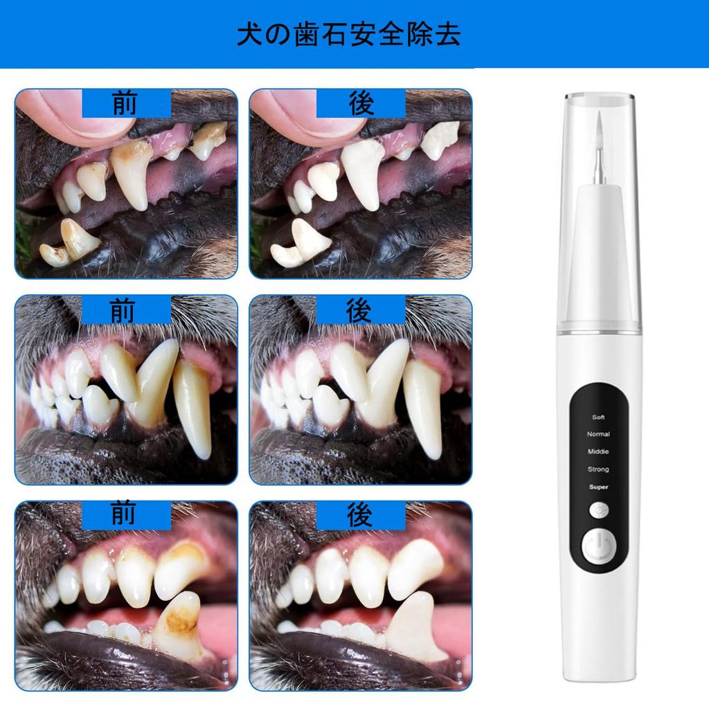 BOJNGEWIN Ultrasonic Teeth Dog USB 5 Adjustable LED Cleaning IPX6 for Cats and Dogs Cleaner, Toothbrush, Rechargeable, Modes, Built-in Lighting, Kit,