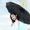 Windproof Travel Umbrella 24 Steel Bones Auto Open Close Classic Black Portable for Business and Outdoor