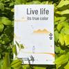 Live Your True Self