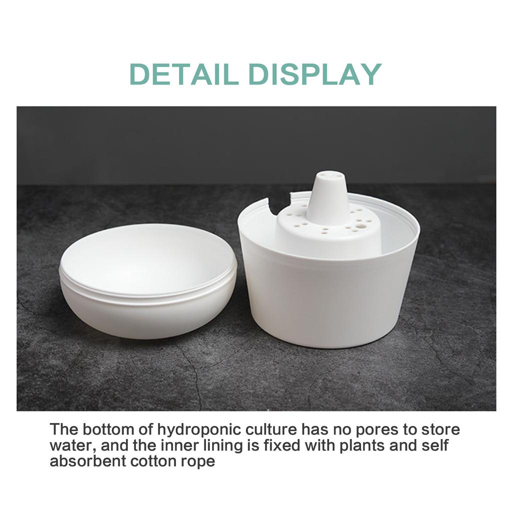 Self Watering Planter Pots with Water Reservoir for Small Indoor Plants