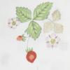 Пододеяльник одинарный Nishikawa Wedgwood Wild Strawberry, легко надевать и снимать, сделано в Японии, розовый, PI07900623P