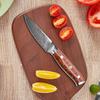 67 Layers Damascus Steel Paring Knife Fruit Vegetables Knife Sharp Cleaver Fishing Knife Kitchen Cooking Tools