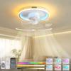 LED Ceiling Fan Lamp Stepless Dimming Remote Interior Lighting Fixture Bedroom Living Home Decor Ceiling Fan With Light