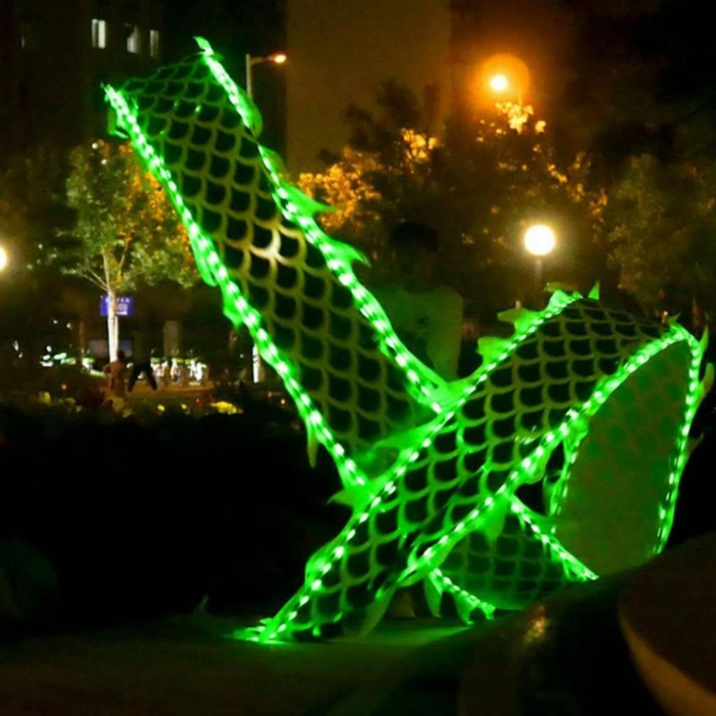 Light up Dragon Streamer Eye-Catching Glowing Ribbon for Beginners,