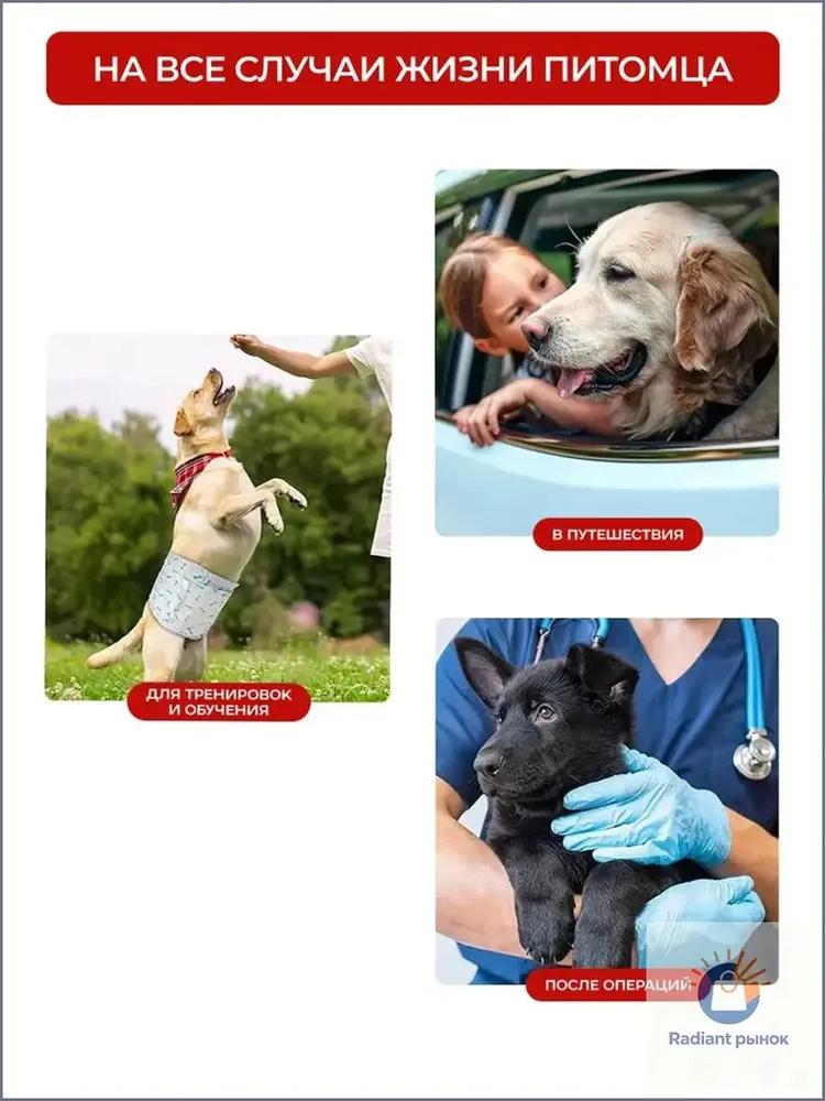 Small dog diapers belts for dogs size S 12 pcs