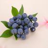 20 шт. Искусственная Черника Пластиковые Искусственные Кусты Черники Реалистичные Искусственные Кусты Черники для Дома Свадьбы Офиса Вечеринки Кухонного Шкафа
