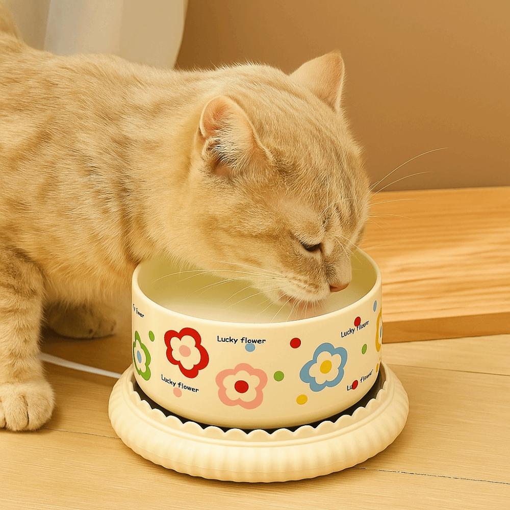 Constant Temperatur Heated Pet Water Dispenser Ceramics Cat Water Fountain Winter