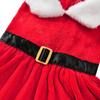Pet Christmas Dress for Small Medium Dogs Cats Cozy Cute Puppy Santa Claus Outfits Chihuahua Yorkshire Princess Skirt Costume