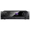 SANSUI DM2 Домашний Аудио Усилитель Мощности для KTV с 2 Беспроводными Микрофонами Штекер CN (адаптер в комплекте)