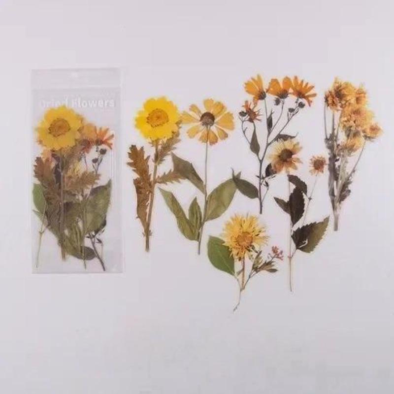 6 шт. Винтажные наклейки из ПЭТ с сухоцветами, декоративные, для дневника, рукоделия, скрапбукинга, планера, журнала, эстетичная канцелярия