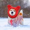 Снуд для собаки Зимний капюшон Теплый капюшон для питомца с защитой ушей Флисовый утеплитель для шеи со шнурком для собак и кошек