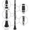 BQKOZFIN Clarinet, B, 17 Keys, Nickel-Plated, ABS Resin Body, Beginner's Wind Instrument Set, F-300, Easy Care, Black (Performance)