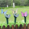Realistic Butterfly Hummingbird Solar Simulation Dancing Fluttering Butterflies Gardening