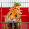 With Adjustable Strap Mini Hamster Hats Party Clothes Accessories Handmade Hamster Hats