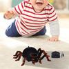 RC Crawling Spider Toy Remote Controlled Sturdy Decor Animals with Sound and Light for