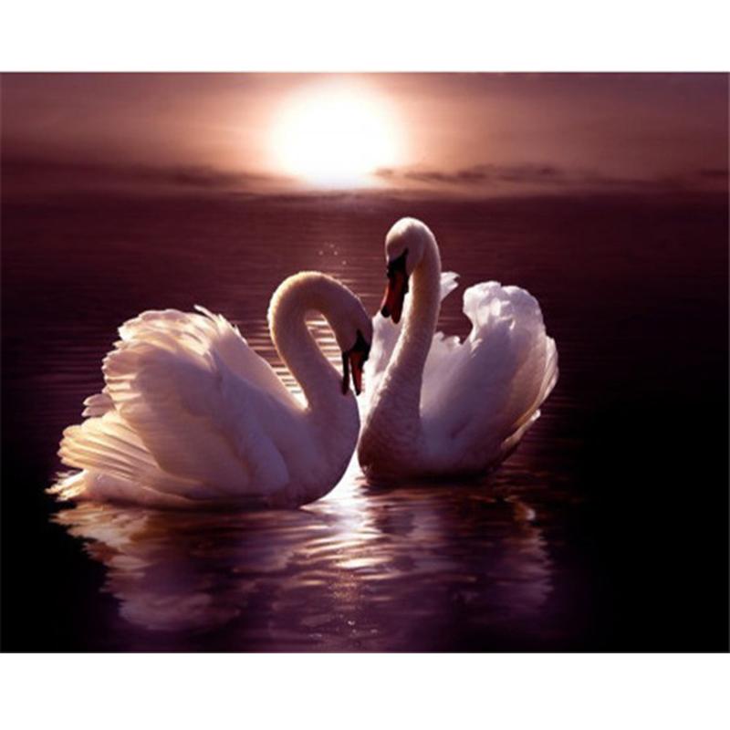 DIY Butterfly 5D Diamond Painting Full Round Drill Animal Diamond Embroidery Cross Stitch Rhinestone Mosaic Home Decor Gift