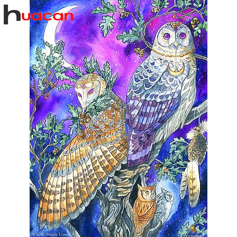 Huacan DIY Алмазная вышивка крестиком Сова алмазная живопись животное полная квадратная кристаллическая мозаика картина из страз
