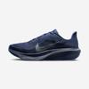 Air Zoom Pegasus 42 [IB1873-401]