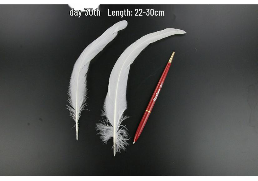 White Feathers for DIY Handmade Clothing & Jewelry Accessories