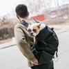 Рюкзак для путешествий для домашних животных: Вентилируемая и дышащая сумка-кенгуру для собак - Идеально подходит для велопрогулок и шопинга