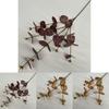 Artificial Eucalyptus Money Leaf Stems For Indoor Outdoor Decoration Photography