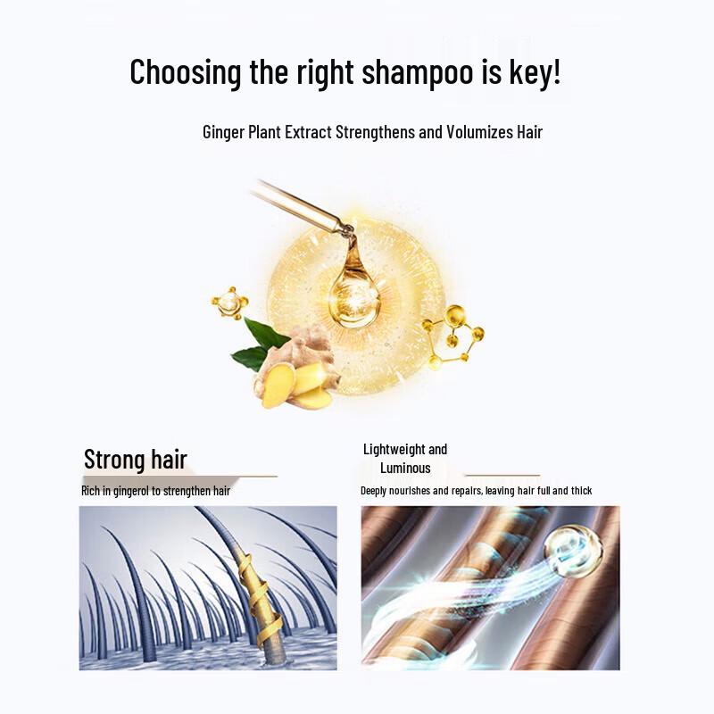 LK Professional Hair Shampoo