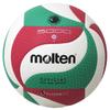 Molten Freestatec Volleyball V4M5000