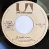 7inch Record SCOTT FITZGERALD & YVONNE KEELEY, T - If I Had Words UAXW1166 United Artists  1977 US Pop Used