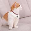 Pet Smart Anti-lost Global Locator Universal Waterproof Mini GPS Tracker Collar Cat Dog Tracker Locator for Android IOS
