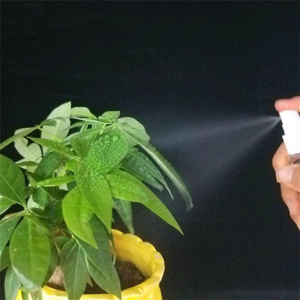 5 шт. Прозрачная пластиковая пустая бутылка-спрей Маленькая бутылка-спрей 50 мл