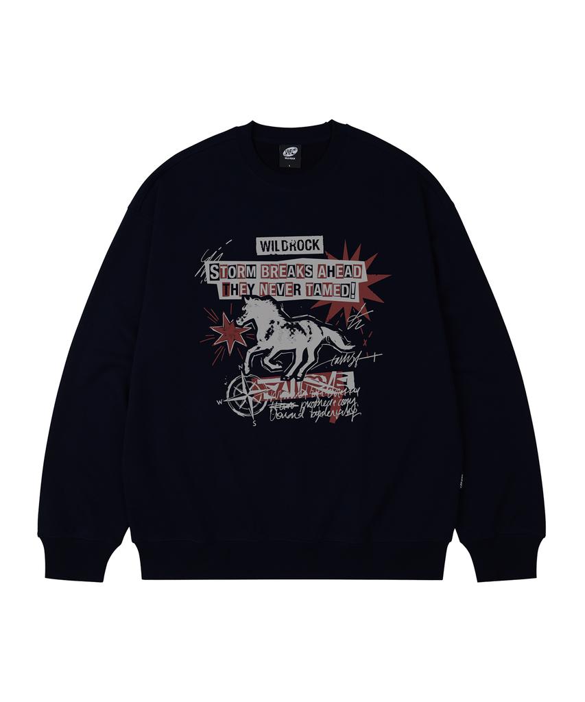 Свободная толстовка WILDROCK Storm Horse_9 Col (Тип B)