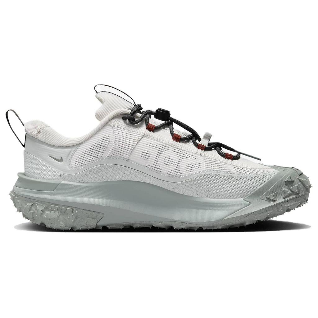 Nike ACG Mountain Fly 2 Low GORE-TEX Phantom Light Silver Unisex Sneakers Grey Mica-Green Dark-Smoke-Grey HF6245-003
