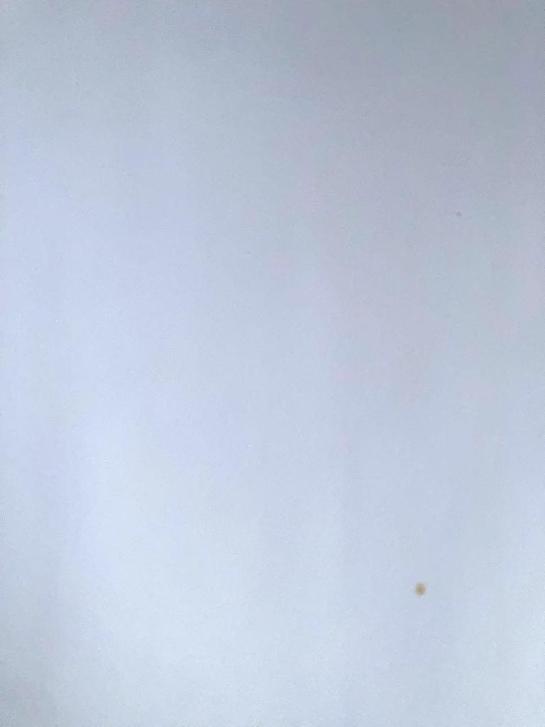 [USED] Spirou the journal of an English BD French comics