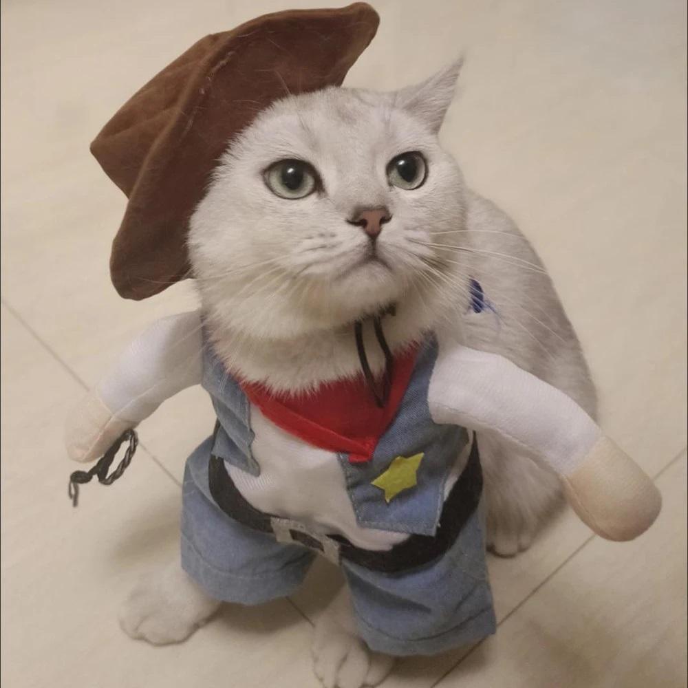 Cat Costume Clothes Funny Halloween Cosplay Cowboy Pet Outfits For Small Medium Dogs Cats Creative Novelty Kitten Party Clothing