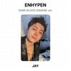 ENHYPEN DARK BLOOD ENGENE версия. Официальная фотокарта