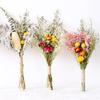 Natural Dried Flowers Bouquet Dried Flower Wedding Home Decoration Dried Flowers