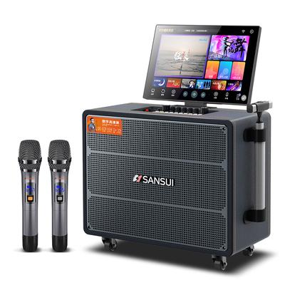 Sansui Q125 Портативная уличная KTV Караоке Акустическая Система Штепсель CN (адаптер в комплекте)