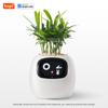 Tuya Ivy Smart Planter,Endless Fun Over 49 Rich Expressions,7 Smart sensors,AI Chips Make Raising Plants Easy and Fun