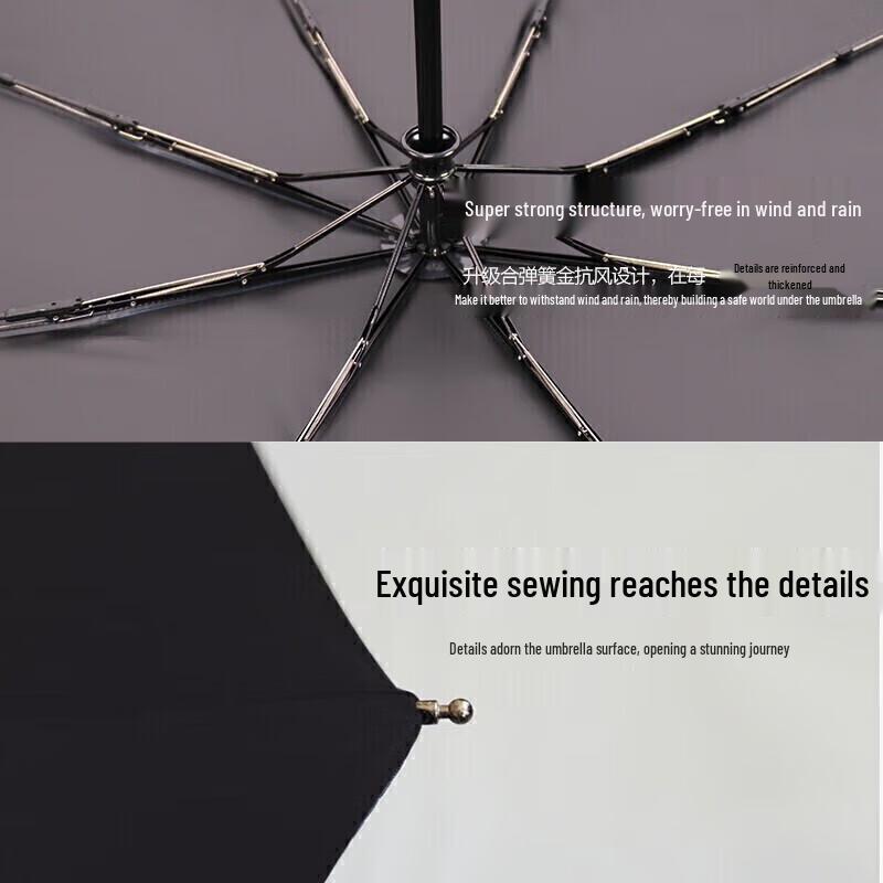 Paradise Fully Automatic Windproof UV Protection Umbrella