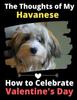 Книга The Thoughts of My Havanese : How To Celebrate Valentine's Day