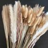 Yunnan Reed Whisk Rabbit Tail Grass Dried Flower Bouquet Production