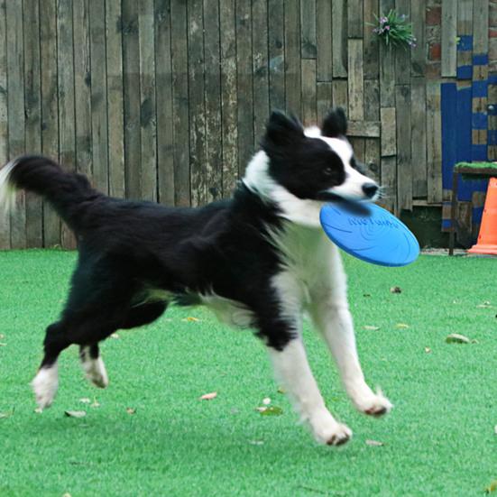 Yousheng Dog Flying Disc Tear Resistant Good Toughness Interactive Exquisite Delicate Sports Tool TPR Funny Flying Saucer Dog Toy for Puppy