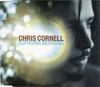CD CHRIS CORNELL - Euphoria Morning ADV4904222 A&M Records 1999 UK Rock Used
