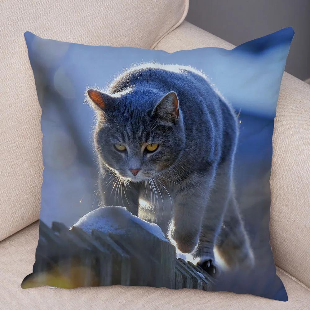 Русская голубая Британская короткошерстная Наволочка Декор Милый кот Домашнее животное Животное Наволочка Мягкий плюшевый Чехол для подушки для машины Дивана Дома