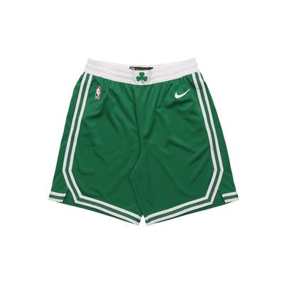 Мужские баскетбольные шорты Boston Celtics Icon Edition Swingman, зеленые AJ5587-312