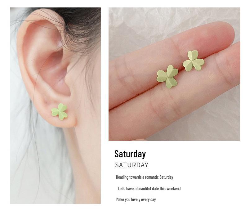 S925 Silver Stud Earrings Gift Set for Her - Perfect for Christmas, Birthday, or Special Occasion